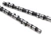 Hot-Street and Full Race Camshafts